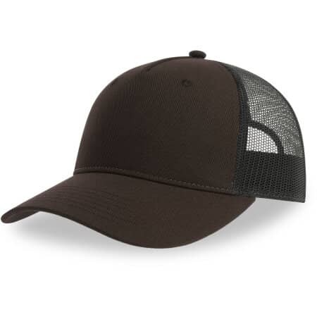 Atlantis Zion Cap Brown|Black
