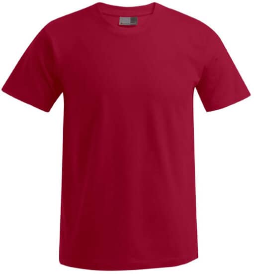 T-Shirts: Men`s Premium-T E3000 von Promodoro