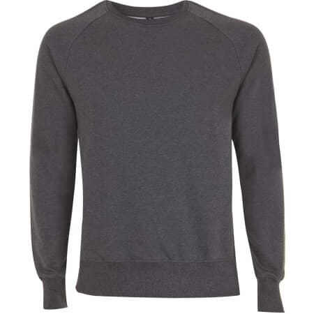 EarthPositive Mens Raglan-Sweatshirt 