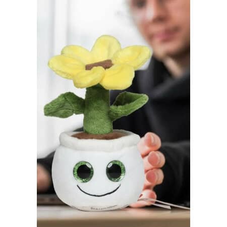 mbw Schmoozies® Evergreenies® Sonnenblume 