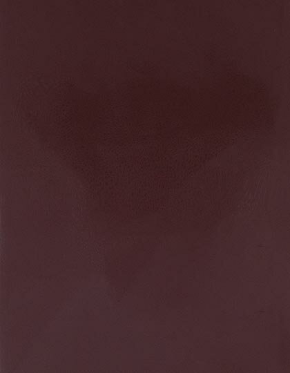 Zubehör für Textildruck und Stick in Brown 550 (ca. Pantone 7616C): CAD-CUT® SportsFilm SA150 von Stahls