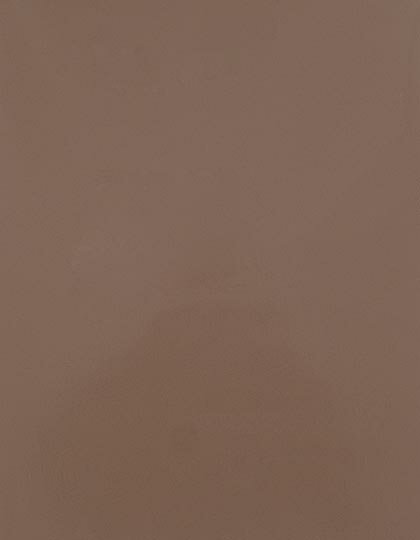 Zubehör für Textildruck und Stick in Cream 005 (ca. Pantone 479C): CAD-CUT® SportsFilm SA150 von Stahls