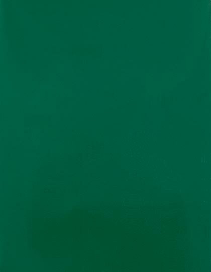 Zubehör für Textildruck und Stick in Green 400 (ca. Pantone 7727C): CAD-CUT® SportsFilm SA150 von Stahls