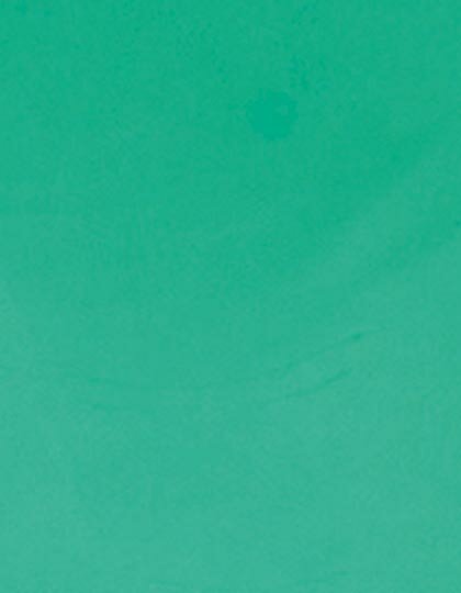 Zubehör für Textildruck und Stick in Mint 419 (ca. Pantone 339C): CAD-CUT® SportsFilm SA150 von Stahls