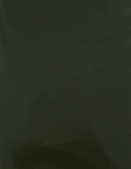 Zubehör für Textildruck und Stick in Olive 430 (ca. Pantone 7763C): CAD-CUT® SportsFilm SA150 von Stahls