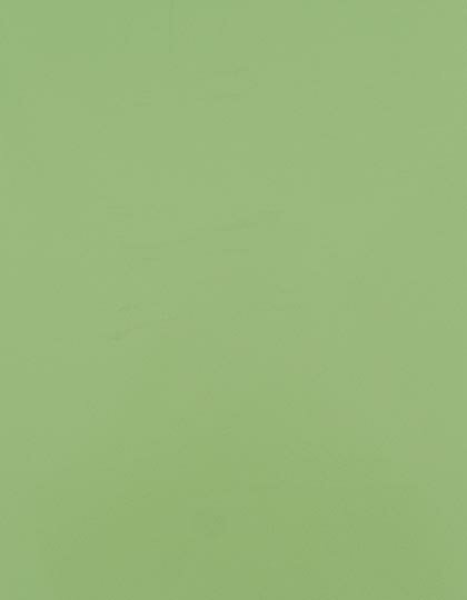 Zubehör für Textildruck und Stick in Pastel Green 420 (ca. Pantone 358C): CAD-CUT® SportsFilm SA150 von Stahls