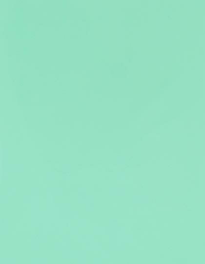 Zubehör für Textildruck und Stick in Pastel Mint 370 (ca. Pantone 317C): CAD-CUT® SportsFilm SA150 von Stahls