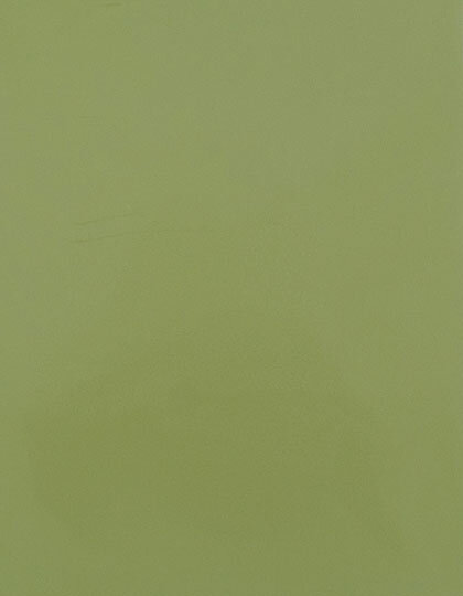 Zubehör für Textildruck und Stick in Pistachio Green 425 (ca. Pantone 5777 C): CAD-CUT® SportsFilm SA150 von Stahls