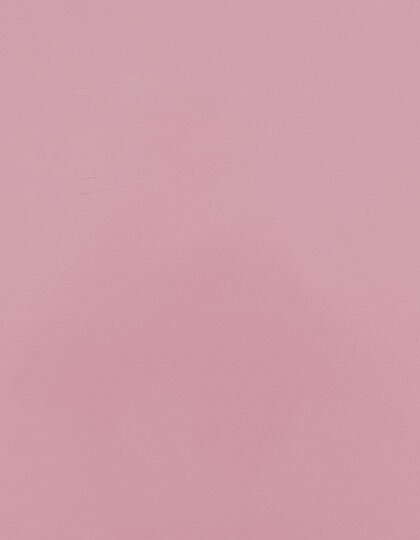 Zubehör für Textildruck und Stick in Rose Pink 256 (ca. Pantone 694 C): CAD-CUT® SportsFilm SA150 von Stahls