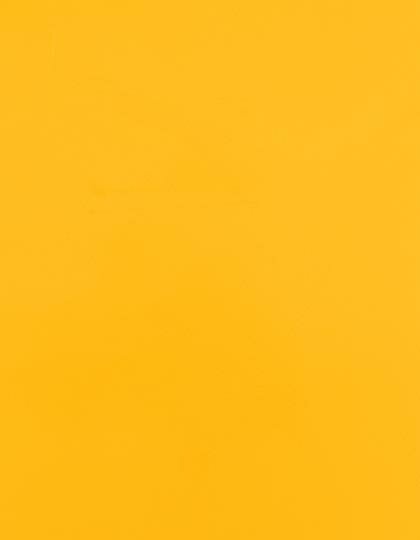 Zubehör für Textildruck und Stick in Sunflower Yellow 106 (ca. Pantone 137C): CAD-CUT® SportsFilm SA150 von Stahls